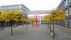 S�ulen f�r eine Akademie | <a class="print" href="#" onclick="return hs.printImage(this)">Bild drucken</a>